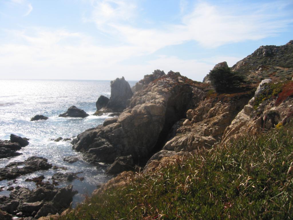 2004/06 June/Monterey Big Sur/1024x768_IMG_0892.JPG